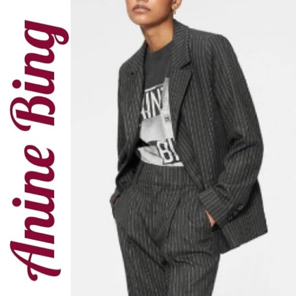 ANINE BING Becky Gray Pinstriped Blazer Double Breasted Menswear, Size 6 - Picture 1 of 15